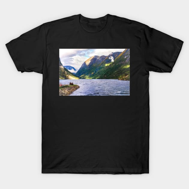 Land of the Vikings T-Shirt by IanWL